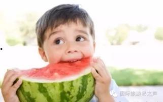 热门大瓜每日必吃大瓜 吃瓜抖音,抖音吃瓜盛宴，揭秘娱乐圈最新动态