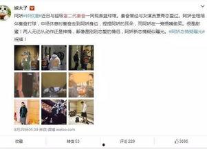 独家爆料网免费爆料在线观看,免费爆料在线观看，揭秘网络爆料新趋势